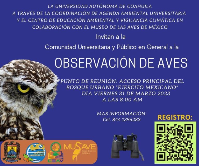 Invita UA de C a observar aves el viernes 31 de marzo