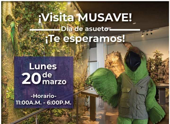 Invitan Museos del Desierto y de las Aves a disfrutar este puente vacacional recorriendo sus instalaciones  