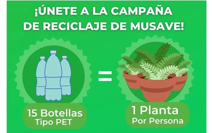 Cambiarán plantas por botellas de plástico en campaña de reciclaje del Museo de las Aves