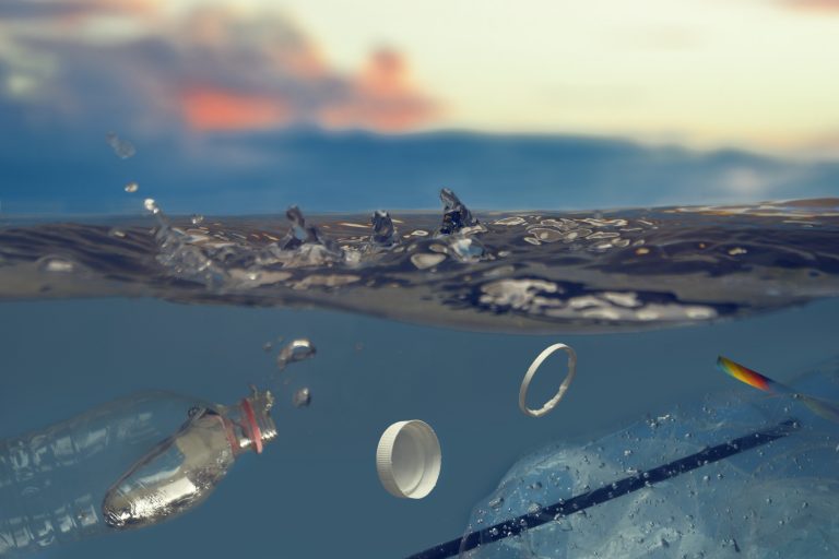 Documentan una nueva enfermedad en aves marinas provocada por residuos de plástico