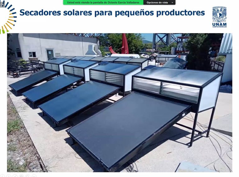 Implementan técnica de secado solar para prolongar la vida de alimentos