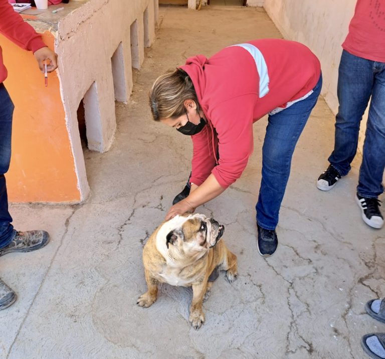 Suman esfuerzos para esterilizar a mascotas del ejido Santo Domingo 