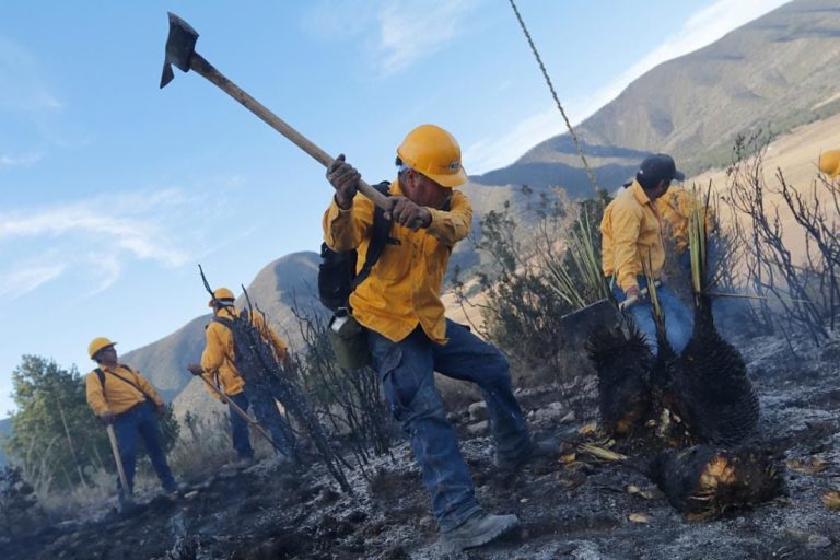 Exhorta Gobierno de Saltillo a evitar incendios forestales