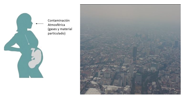 Afecta contaminación atmosférica material genético, peso y talla de recién nacidos