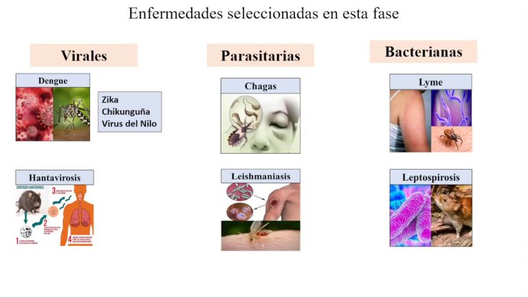 En construcción, atlas de enfermedades infecciosas