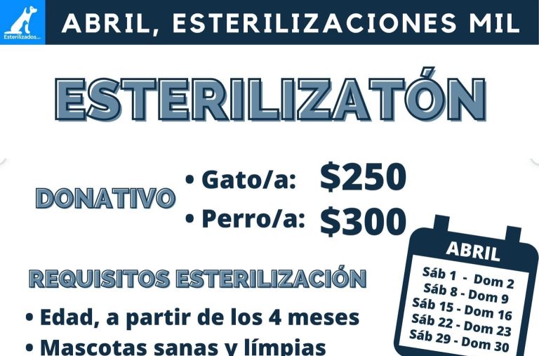 Invitan a saltillenses a esterilizar y vacunar a mascotas este domingo