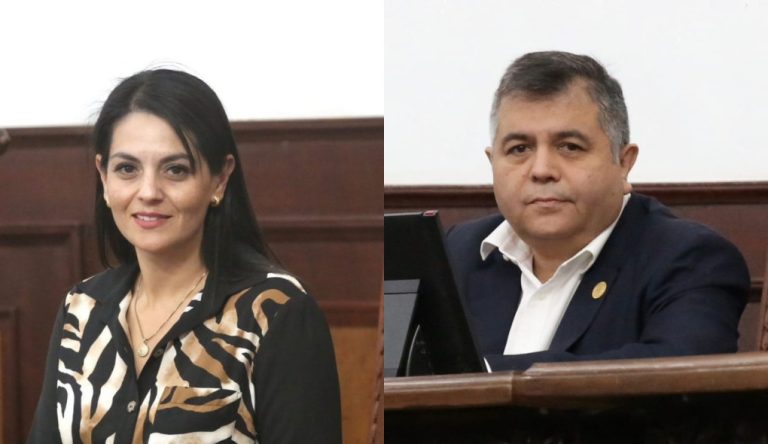 Presentan diputados iniciativa de reforma para tipificar la violencia vicaria