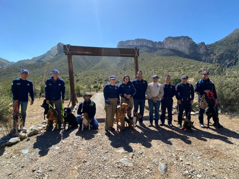 Capacitan a binomios caninos de Protección Civil y Bomberos