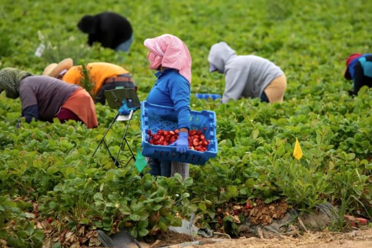 Cada vez más mujeres deciden migrar