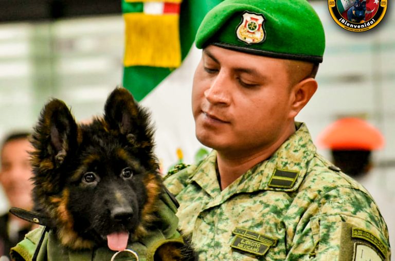 Arkadas, nombre del cachorro turco de la Sedena