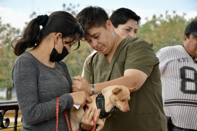 En Manantiales del Valle desparasitan y vacunan contra la rabia a más de 500 mascotas 