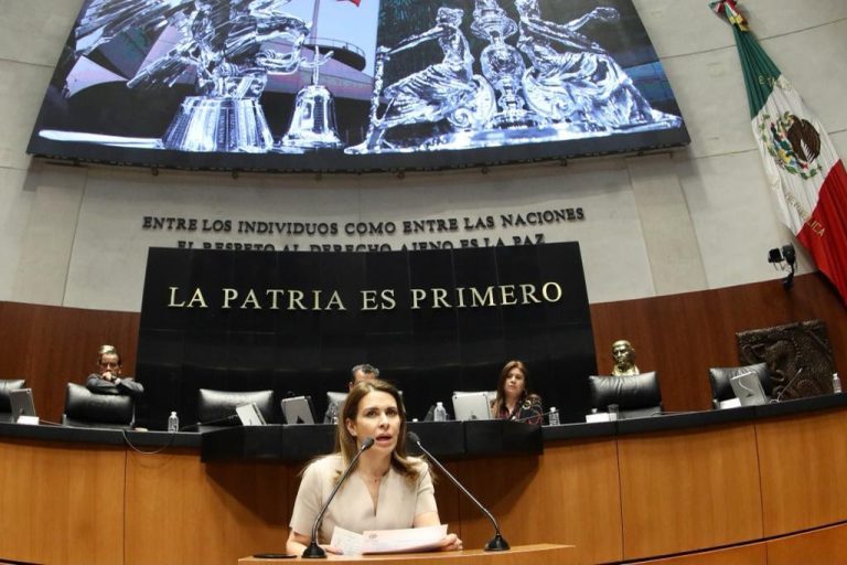 Exigimos que el INAI funcione: diputada priista Carolina Viggiano