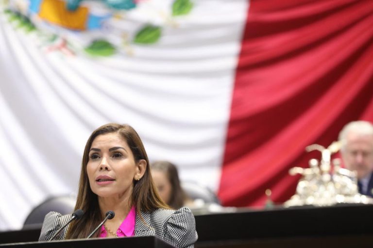 Sin pretextos, padres deben cumplir en todo momento con la pensión alimenticia: diputada priista Karina Barrón