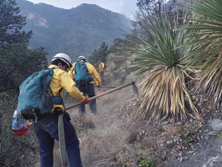 Construye Arteaga brecha corta fuego