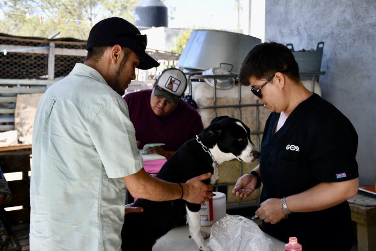 En Cañada Ancha vacunan contra la rabia y desparasitan a más de 60 mascotas 