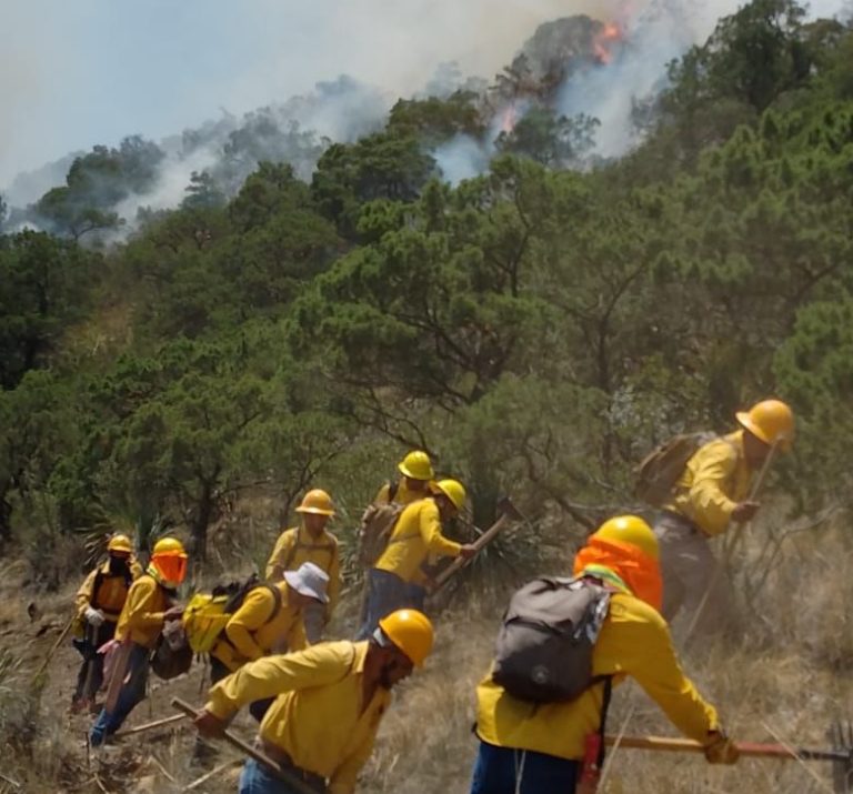 La SMA informa que se lleva un control del incendio de San José de Los Nuncio del 55 por ciento y 40 por ciento de liquidación