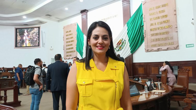 Son violencia contra las mujeres, feminicidio y Ley Electoral prioridades de Luz Elena Morales para lo que resta de la LXII Legislatura