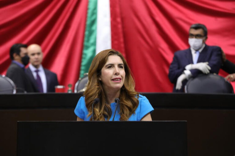 Animales deben recibir trato digno y protección por ley: diputada priista Melissa Vargas