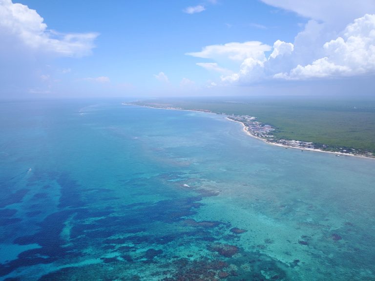 Amenazas globales afectan a los océanos