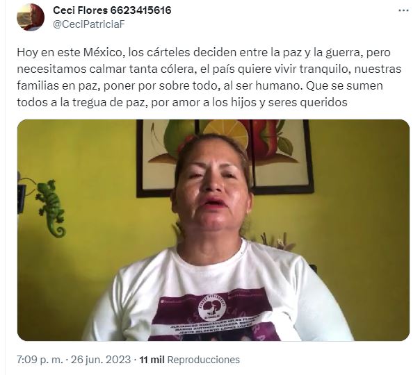 Cárteles criminales en México aceptan la propuesta de paz de las Madres Buscadoras