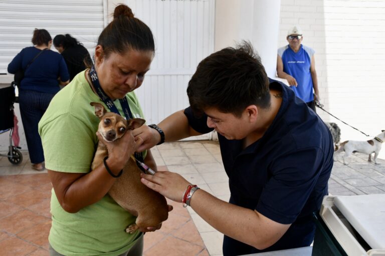 Con brigada de vacunación atienden a mascotas en Alameda ‘Miguel Ramos Arizpe’