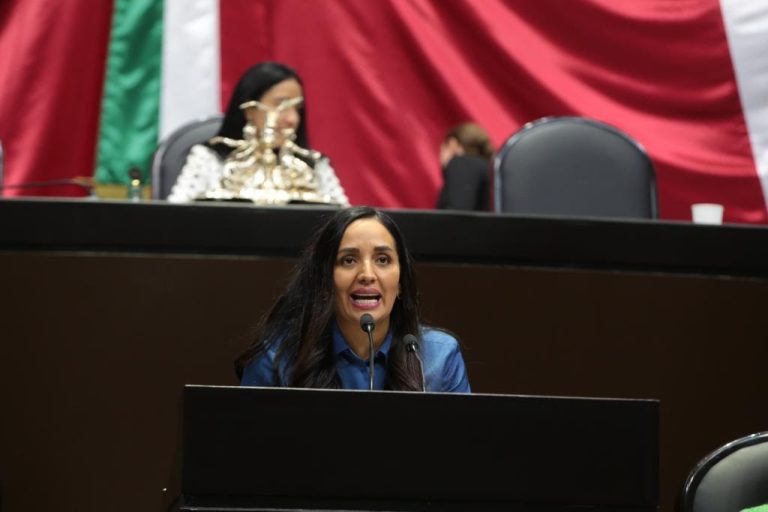 Diputadas priistas dicen no a la suspensión de las normas oficiales mexicanas