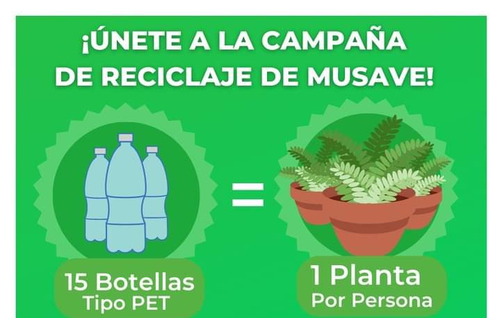 Habrá este sábado y domingo campaña de reciclaje en el MUSAVE