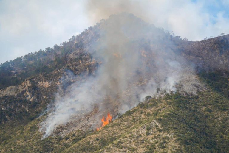 Inician labores para combatir el incendio forestal en la serranía de Ramos Arizpe