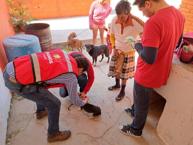 Realizarán vacunación antirrábica y fumigación contra rickettsia en Cañada Ancha