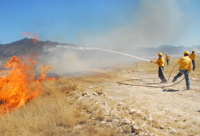 Es Coahuila el tercer estado con mayor afectación por incendios forestales   