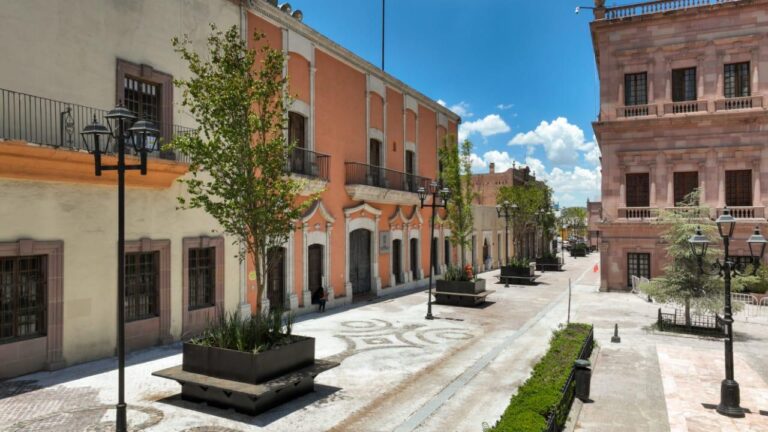 Comienza instalación de árboles en Paseo Capital