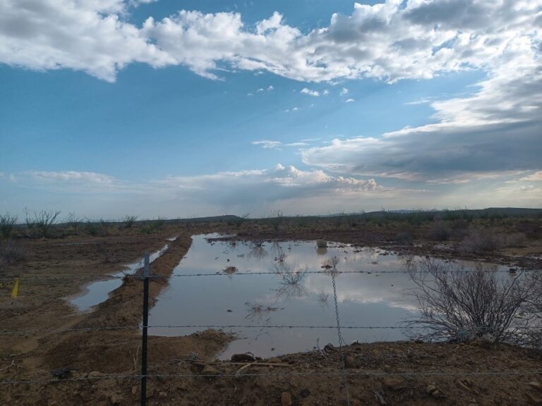 En Coahuila, se rehabilitan agostaderos para fortalecer prácticas sustentables en el campo