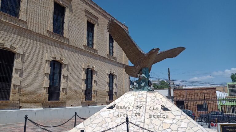 Busca Museo de las Aves nuevos niños guía