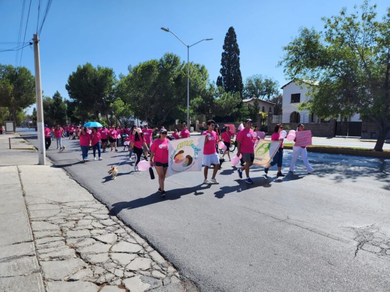 Con caminata, promueven en Saltillo la práctica de la lactancia materna