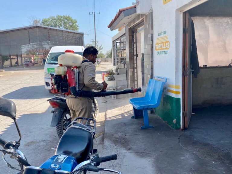 Contra la rickettsia en La Laguna, Salud Coahuila pide denunciar aparición de garrapatas y desparasitar perros