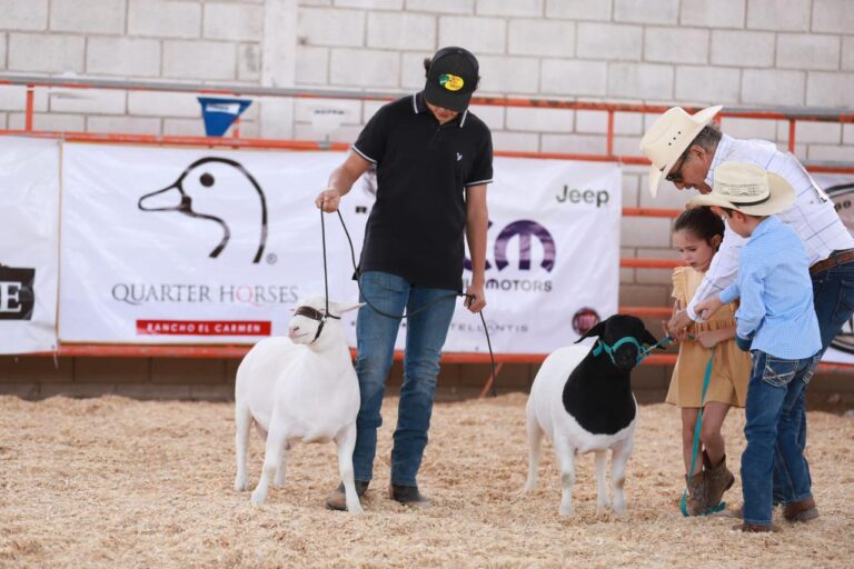 Dentro de la semana del campo, un éxito el XIII concurso de becerro gordo