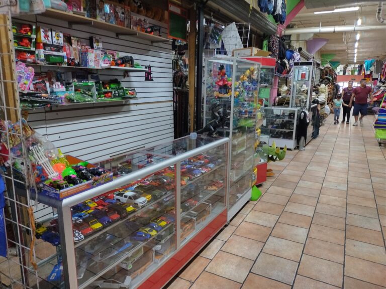 En peligro la identidad tradicional del Mercado Juárez