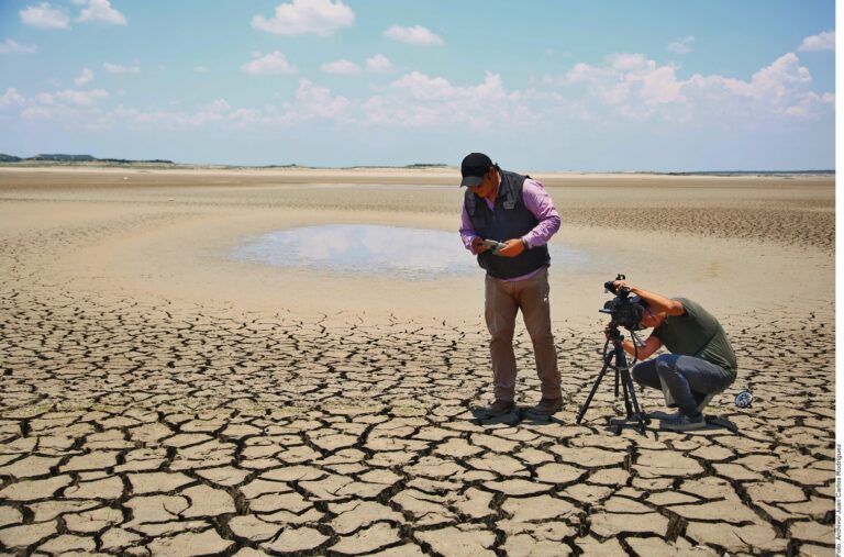 Golpea otra vez la sequía en NL