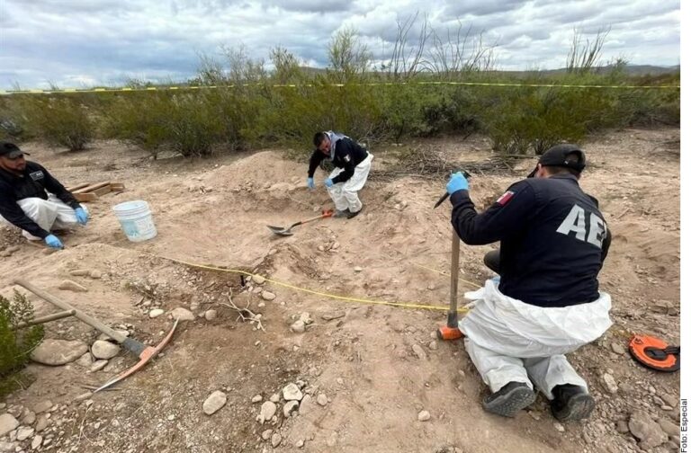 Hallan en Chihuahua 11 cuerpos en fosas