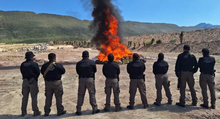 Incinera FGR más de  400 kilos de droga en Coahuila