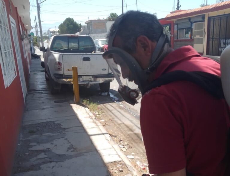 Invitan a ramosarizpenses a reportar presencia de garrapatas