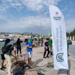 Plantan 70 árboles en calles aledañas al Bosque Urbano3