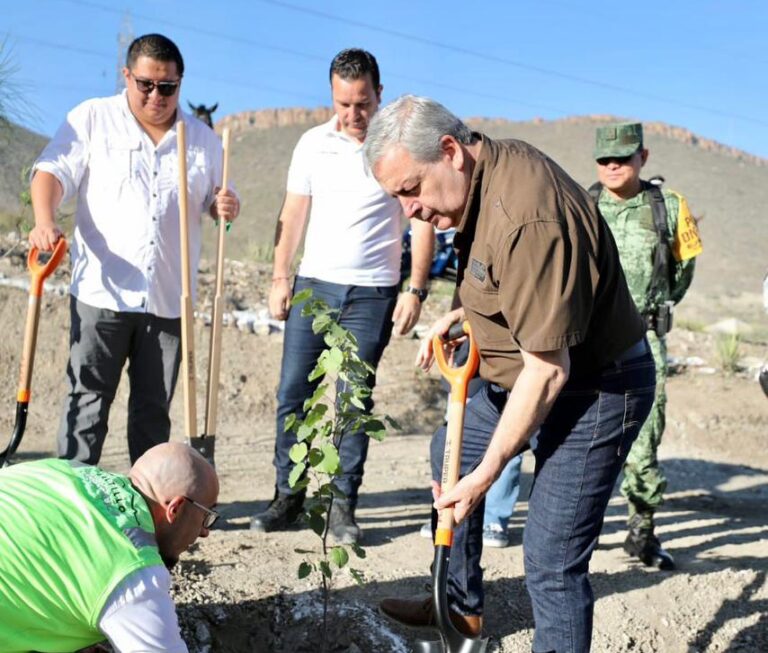 Reforesta Municipio de Saltillo bulevares para una ciudad verde