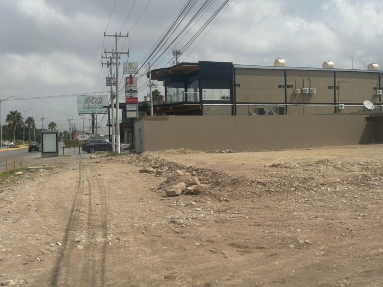 ¡Más café y pizza para Saltillo! Starbucks y Domino’s preparan apertura de nuevas sucursales