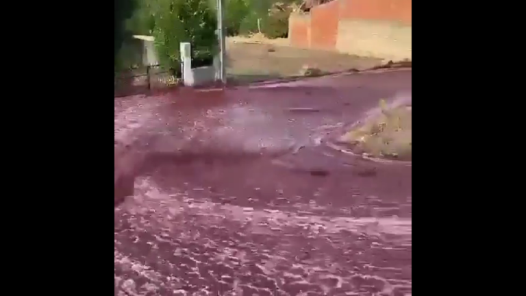 Viral: Río de vino tinto inunda las calles de localidad portuguesa