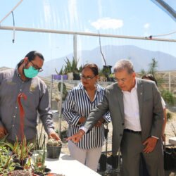 Inauguran Vivero 2