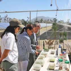 Inauguran Vivero 3