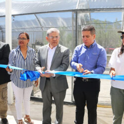 Inauguran Vivero 5