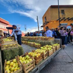 Inicia festival de la manzana, en Arteaga3