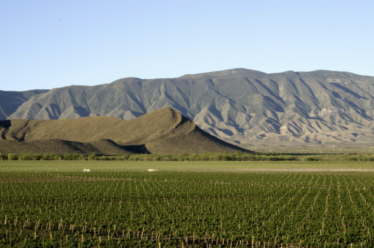 Certifica Casa Madero proceso orgánico de producción   